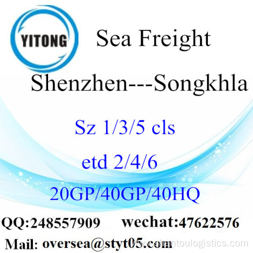 Shenzhen Port Sea Freight Shipping To Songkhla